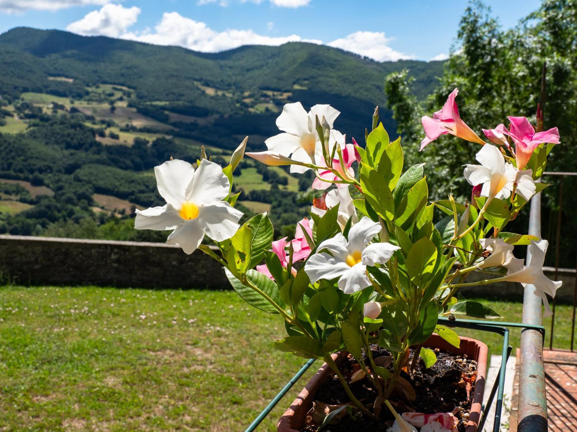 Agriturismo Villaggio Eden Pieve Santo Stefano Kültér fotó